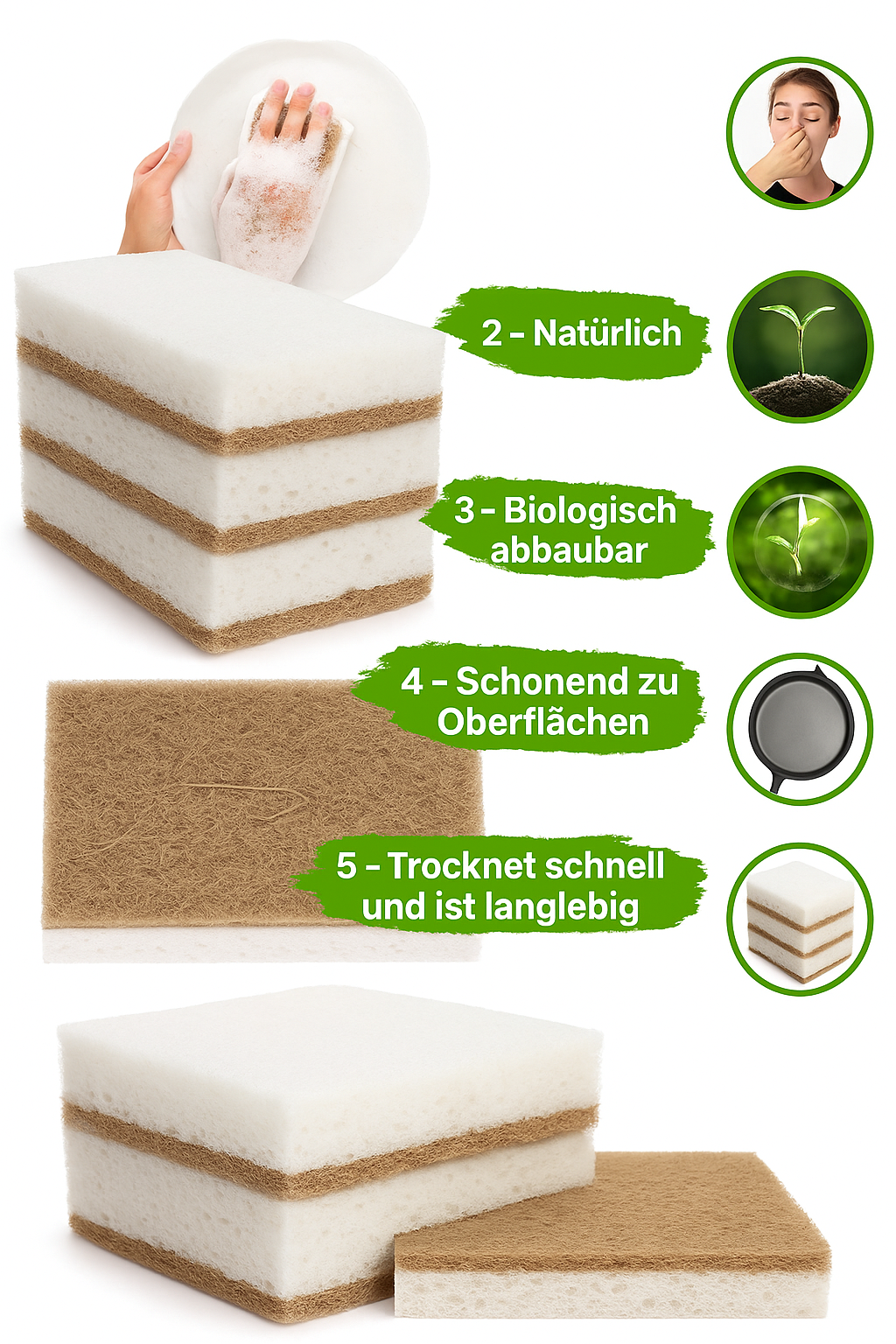 Biologisch abbaubarer Küchenschwamm mit kompostierbarem Kokosnuss-Schrubber