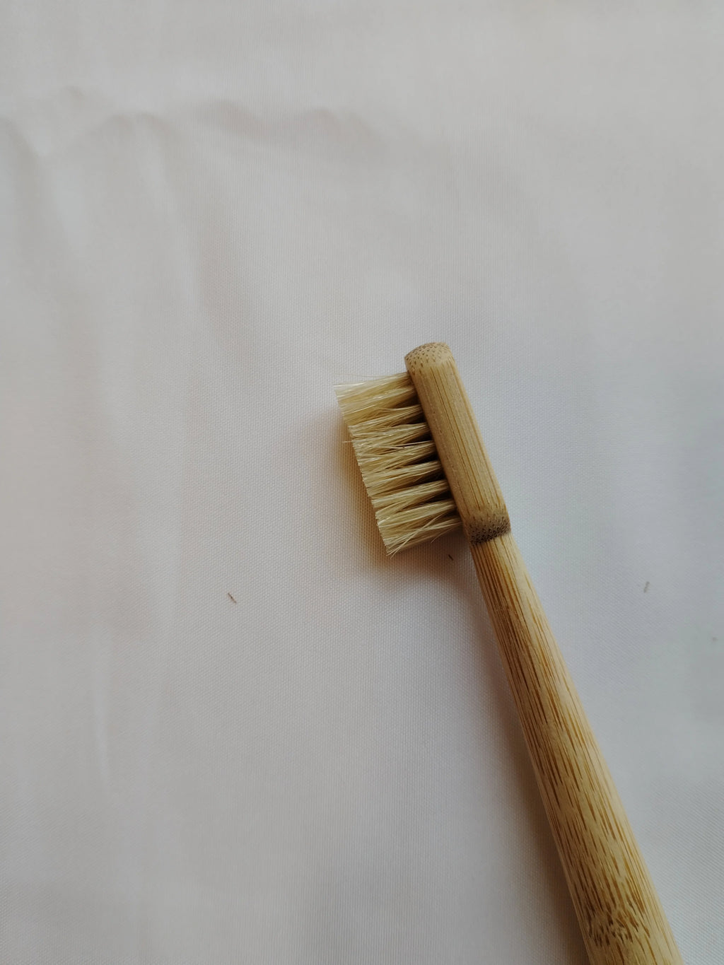 6er-Pack Wildschweinborsten & Bambuszahnbürste